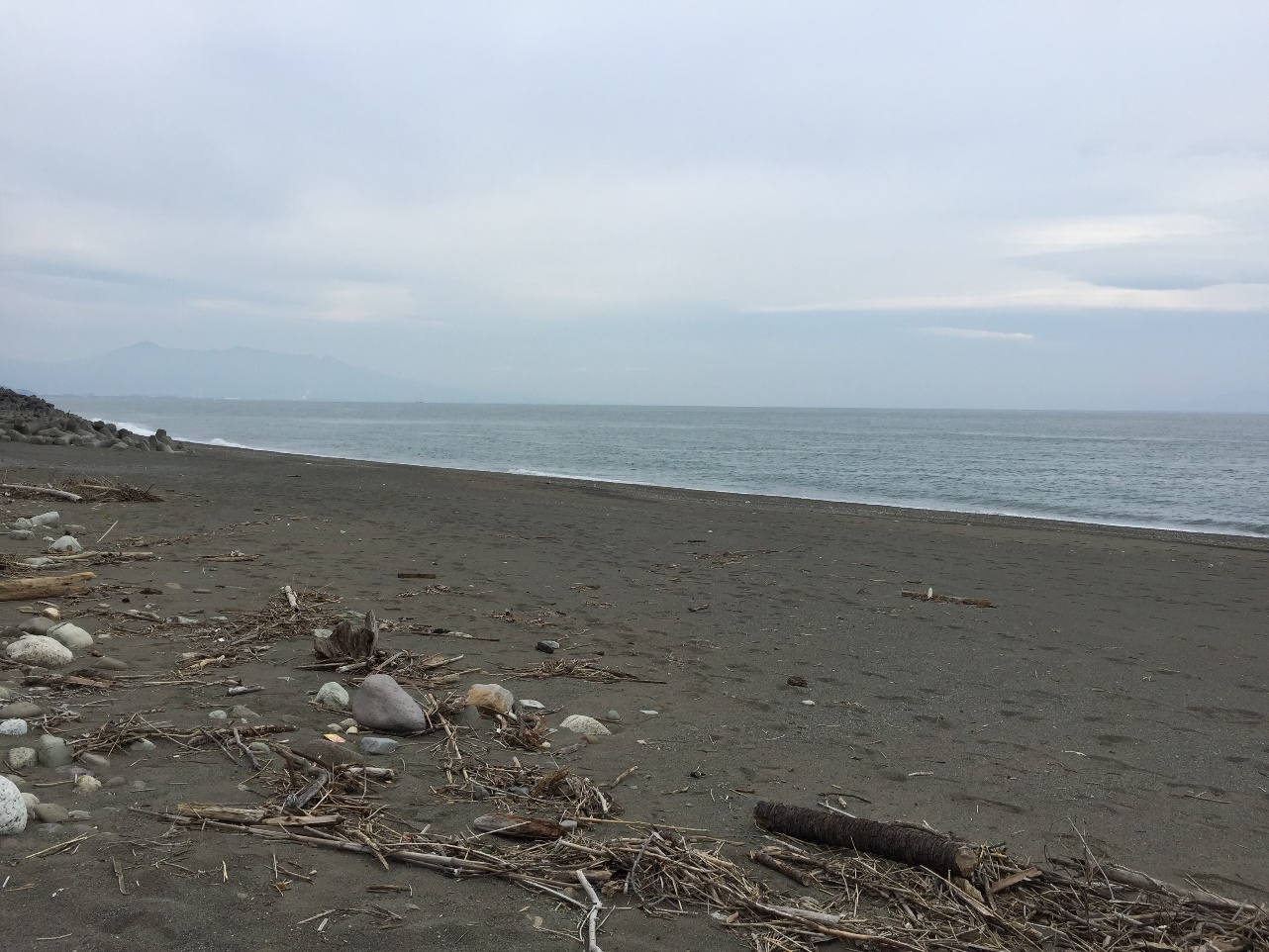 静岡市清水区を流れる興津川を満喫 ワンちゃんと行く長 い田舎の遊歩道 愛犬との旅行ならイヌトミィ