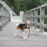 愛犬と日帰りふたり旅！煌めきの丘～戸田壱の湯温泉浴場