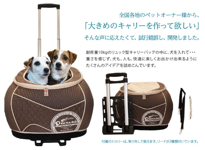 Jr線での愛犬と電車移動で最適なキャリーバックはどれ 愛犬との旅行ならイヌトミィ