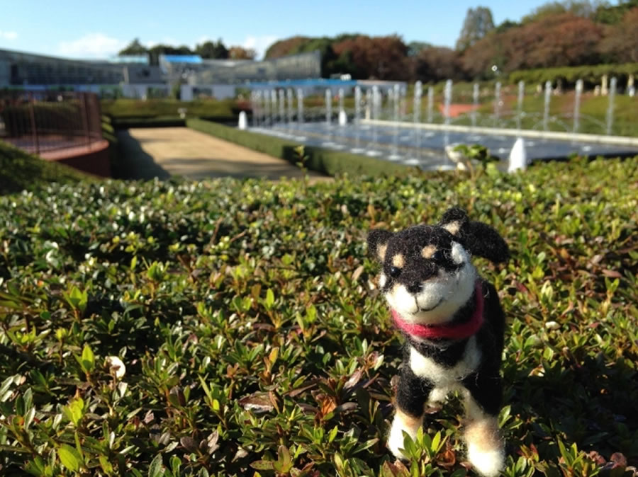 うちのコそっくり 羊毛フェルトの愛犬がオーダーできるショップ 愛犬との旅行ならイヌトミィ