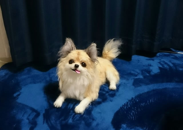 うちのコそっくり♡羊毛フェルトの愛犬がオーダーできるショップ ...