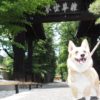 緑に囲まれた自然の中で愛犬と一緒にのんびり散策が楽しめる！「乾徳山 恵林寺」＜山梨県＞