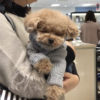 【千葉駅】愛犬と気軽にお出かけ！駅近デパートでショッピング＆隠れ家カフェでランチ