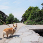 江戸時代の美しい町並みが残る静かな宿場町「海野宿」を愛犬とお散歩♪＜長野県＞