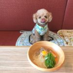 愛犬とお台場デートを楽しもう！店内で食事が楽しめるおすすめレストラン＆カフェ5選