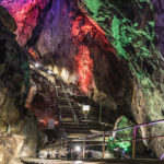 愛犬と一緒に入れるひんやり観光スポット！東日本の鍾乳洞＆洞窟