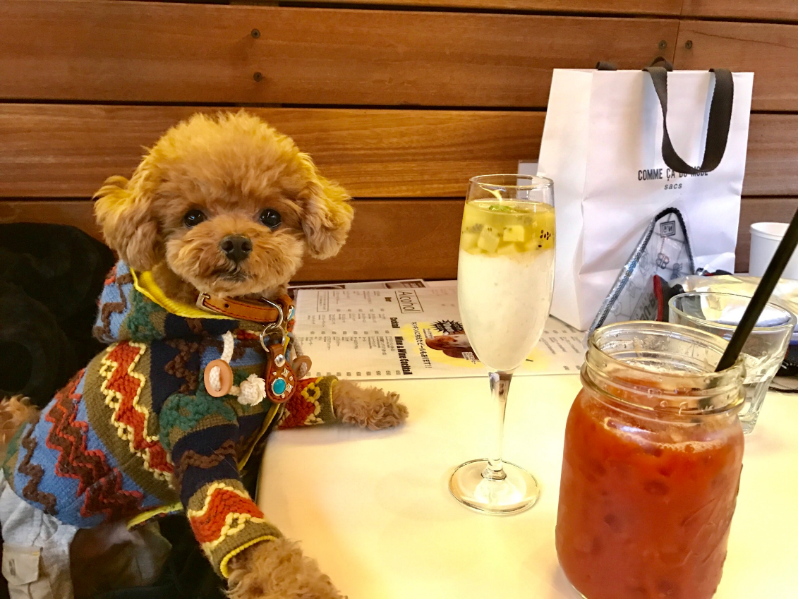 愛犬と浅草ぶらり旅 ワンちゃんと一緒に食事ができる浅草のレストラン カフェ 居酒屋特集 愛犬との旅行ならイヌトミィ