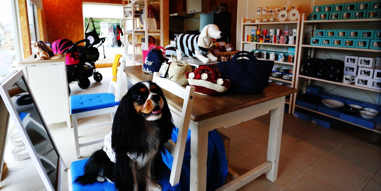 愛犬と一緒に食事もショッピングも散策もできちゃう 人気の複合商業施設4選 関東近郊 愛犬との旅行ならイヌトミィ