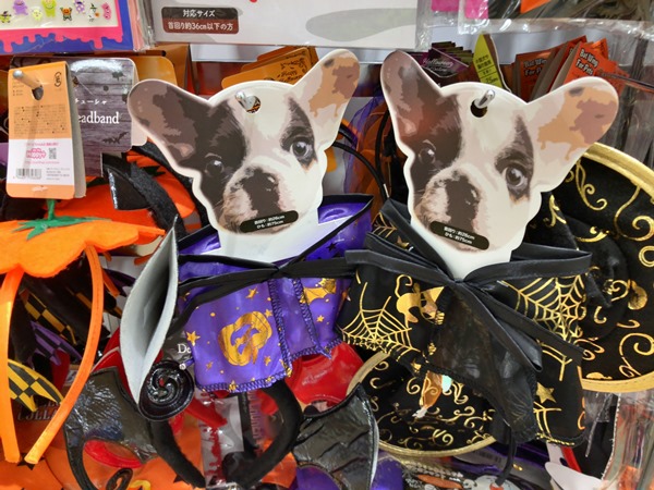 18年版 100円ショップでプチプラ仮装 ワンちゃん用のハロウィングッズ特集 愛犬との旅行ならイヌトミィ