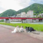 犬連れドライブ&日帰りプチ旅行におすすめ！「下呂温泉」のペット歓迎の公園や駐車場情報＜岐阜県＞