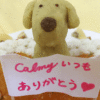 クリスマスやお誕生日にもおすすめ！愛犬に伝えたい感謝の気持ちは手作りケーキで♡