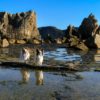 ＜和歌山県＞絶景！「橋杭岩（はしぐいいわ）」は愛犬とまるで海外旅行した気分でインスタ映えを狙え！