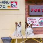 愛犬と一緒に浜名湖沿い舘山寺のペット可老舗「らーめんカフェ ワコー」へ！冬は薪ストーブで快適！＜静岡県＞