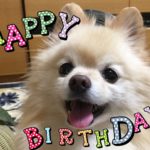 感謝の気持ちを忘れずに！バレンタインデーは愛犬のお誕生日♡愛情たっぷり簡単レシピもご紹介