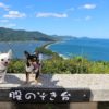 愛犬と自然を満喫旅行♡「天橋立」周辺の観光スポット・お食事処・民宿＆豪華リゾート特集！＜京都府＞