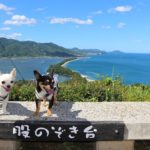 愛犬と自然を満喫旅行♡「天橋立」周辺の観光スポット・お食事処・民宿＆豪華リゾート特集！＜京都府＞