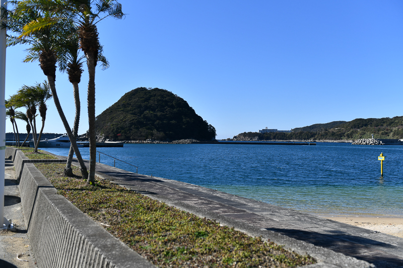 関西地方 愛犬と南国気分を味わおう 和歌山県の超穴場ビーチ すさみ海水浴場 をご紹介 愛犬との旅行ならイヌトミィ