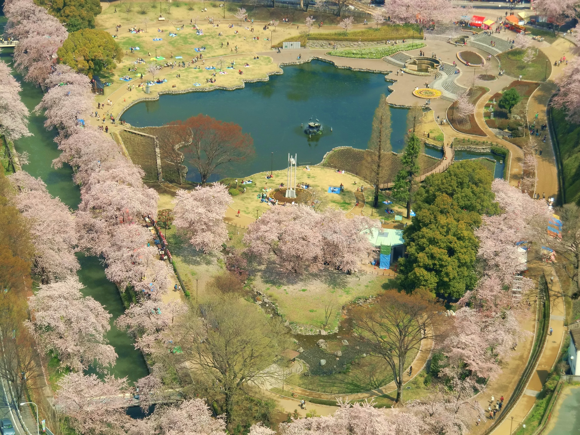 ３月下旬 ４月上旬見頃 愛犬と一緒にお花見旅行 群馬県で桜鑑賞 軽井沢に泊まろう 愛犬との旅行ならイヌトミィ