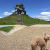 愛犬と海の公園をお散歩しよう！ 広野海岸公園＆ふじのくに田子の浦みなと公園＜静岡県＞