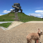 愛犬と海の公園をお散歩しよう！ 広野海岸公園＆ふじのくに田子の浦みなと公園＜静岡県＞