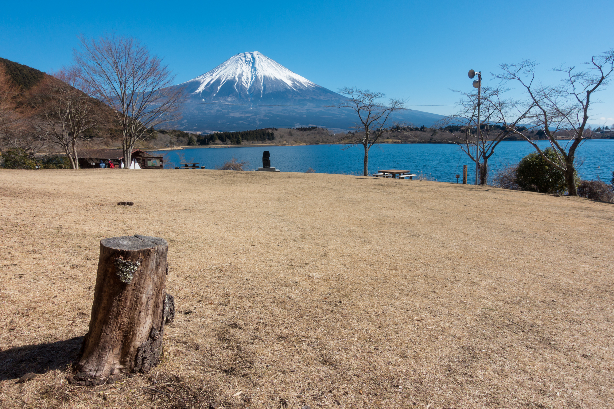 ダイヤモンド富士で有名な絶景スポット 愛犬と一緒に田貫湖一周散策 静岡県富士宮市 愛犬との旅行ならイヌトミィ