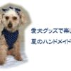 梅雨の雨の日や夏の暑い日におすすめ！愛犬グッズのハンドメイドを楽しもう！