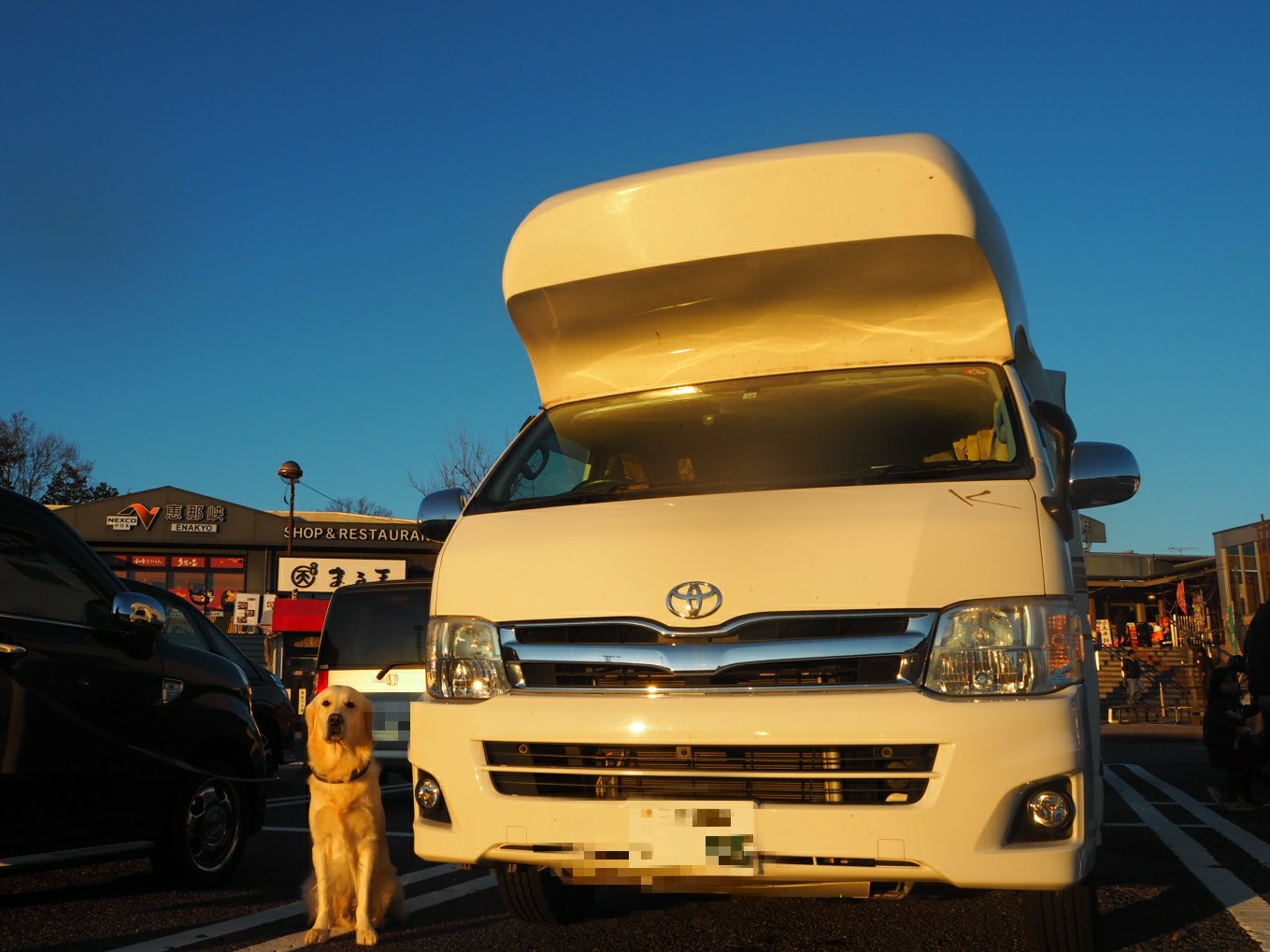 愛犬との旅行をもっと楽しく もっと安全に 車旅の注意点とお役立ちグッズ紹介 愛犬との旅行ならイヌトミィ