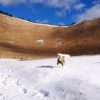 実は真冬がオススメ！曽爾高原（そにこうげん）で愛犬と思いっきり雪遊び＜奈良県宇陀郡＞