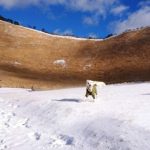 実は真冬がオススメ！曽爾高原（そにこうげん）で愛犬と思いっきり雪遊び＜奈良県宇陀郡＞