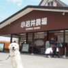 愛犬と一緒に岩手県へ行こう！自然を満喫♥春のみちのく犬連れ旅