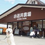 愛犬と一緒に岩手県へ行こう！自然を満喫♥春のみちのく犬連れ旅