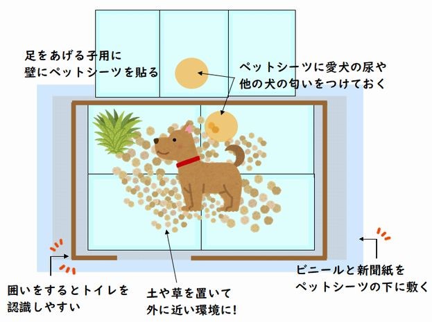 愛犬の室内トイレトレーニングのコツ 動物看護師が解説 愛犬との旅行ならイヌトミィ