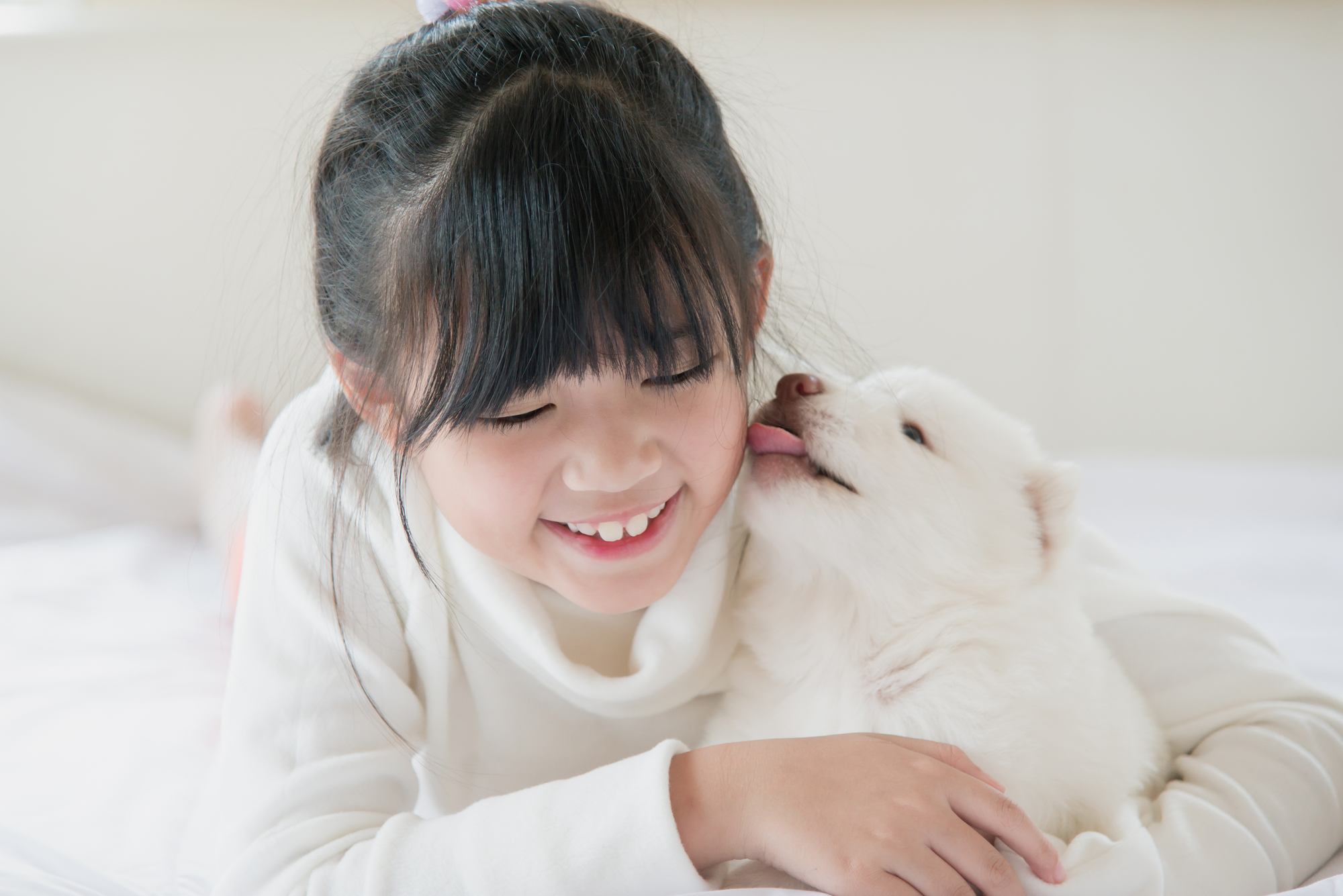 愛情だけじゃない 犬が人の口をなめる理由 動物看護師が解説 愛犬との旅行ならイヌトミィ