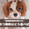 愛犬の健康のために！動物看護師が教える動物病院の選び方・つき合い方