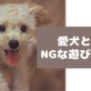 知らずにやってた！愛犬と飼い主さんのNGな遊び方5つ【動物看護師が解説】