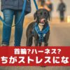 あなたは首輪派？ハーネス派？愛犬のストレスになるのはどっち？【動物看護師が解説】