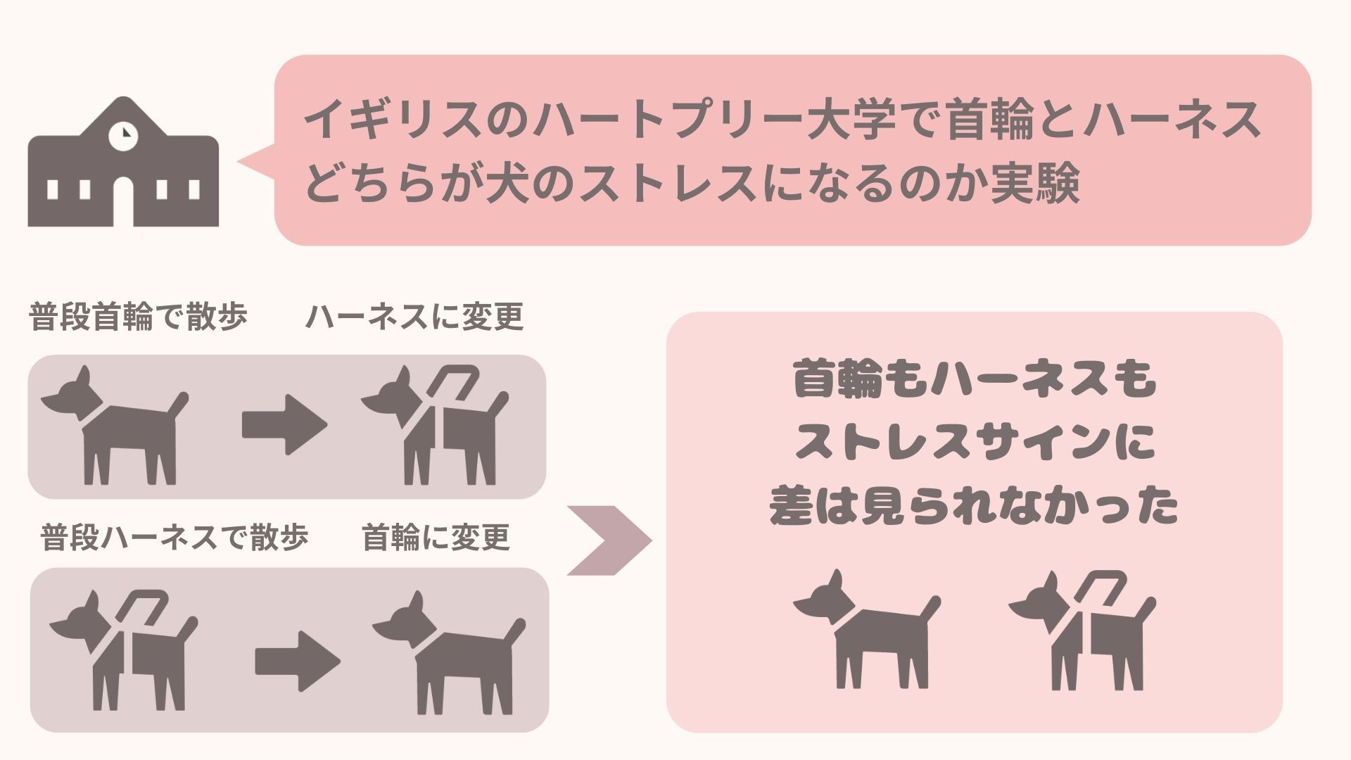 あなたは首輪派 ハーネス派 愛犬のストレスになるのはどっち 動物看護師が解説 愛犬との旅行ならイヌトミィ