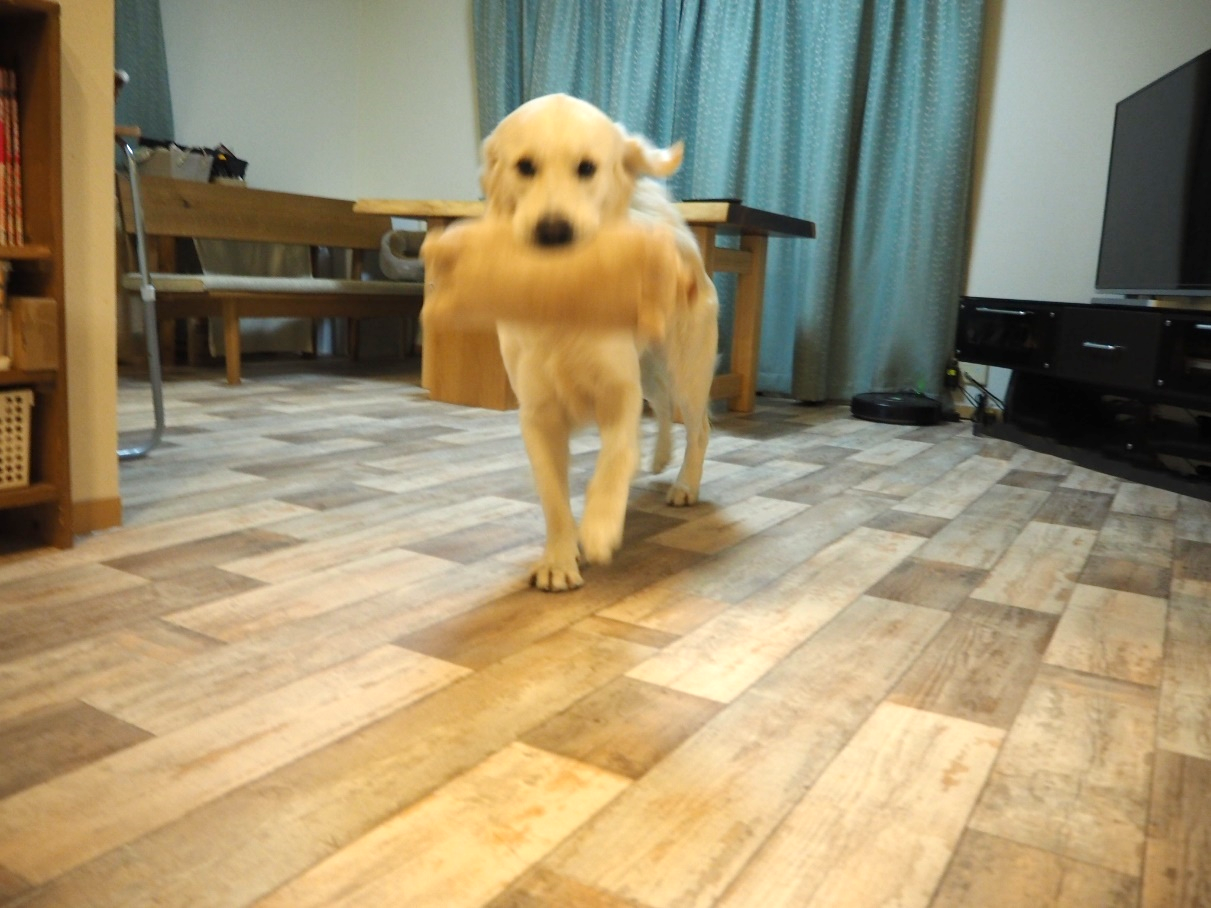 犬 が 滑ら ない 床