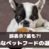 大切な愛犬のために！安心・安全なペットフード選びのチェックポイント【動物看護師が解説】