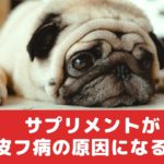 サプリメントが原因で犬が皮膚病になるって知ってた？【動物看護師が解説】