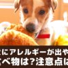 犬にアレルギーが出やすい食べ物ってなに？症状や予防について【動物看護師が解説】