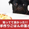 実は栄養不足？！知っててよかった犬用手作りごはんの落とし穴【動物看護師が解説】