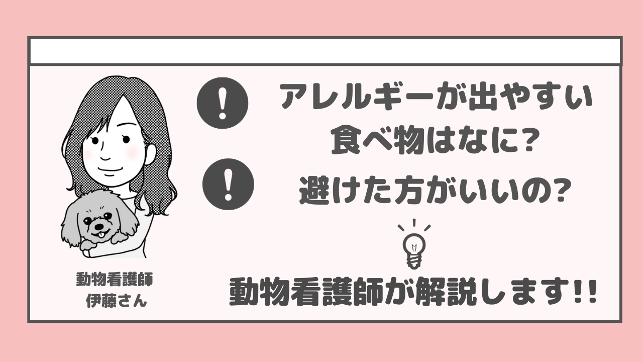 犬にアレルギーが出やすい食べ物ってなに 症状や予防について 動物看護師が解説 愛犬との旅行ならイヌトミィ