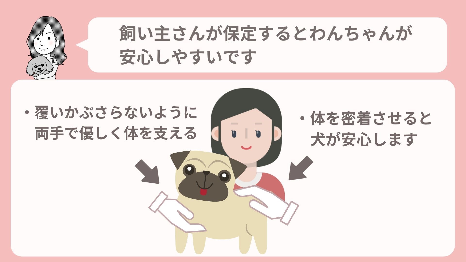 苦手になる前に 愛犬を動物病院に連れて行くときに気をつけるポイント 動物看護師が解説 愛犬との旅行ならイヌトミィ