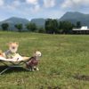愛犬と一緒に絶景ドライブ！見どころいっぱい「阿蘇くじゅう国立公園」＜大分県～熊本県＞