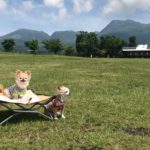 愛犬と一緒に絶景ドライブ!見どころいっぱい「阿蘇くじゅう国立公園」<大分県~熊本県>
