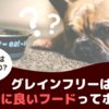 グレインフリーのペットフードはわんちゃんの健康にいいの？【動物看護師が解説】