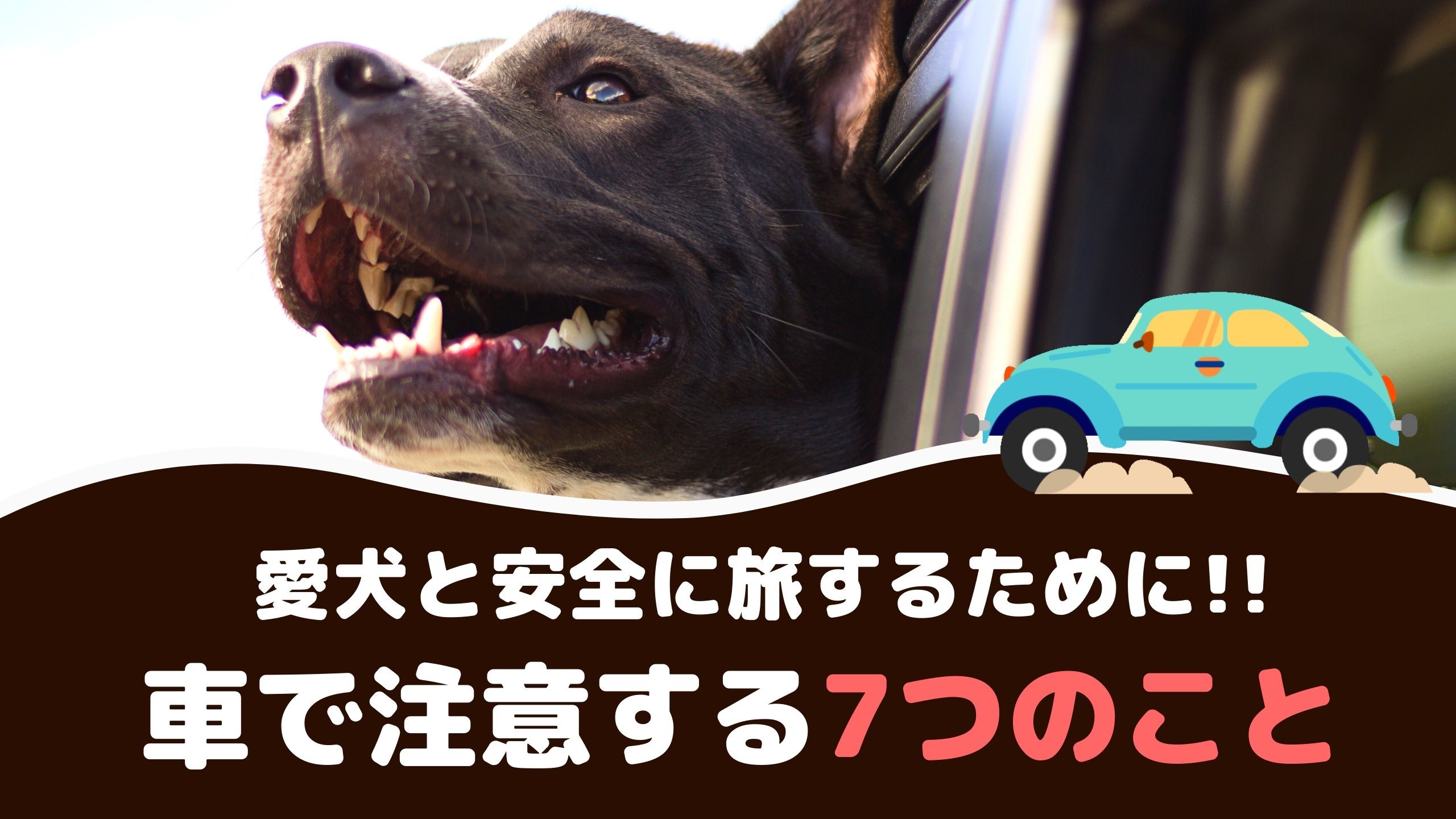 愛犬と安全にドライブするために 車で注意する7つのこと 動物看護師が解説 愛犬との旅行ならイヌトミィ