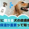 夏に増える犬の皮膚病！保湿予防が重要って知ってた？【動物看護師が解説】