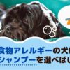 食物アレルギーの犬はどんなシャンプーを選べばいいの？【動物看護師が解説】